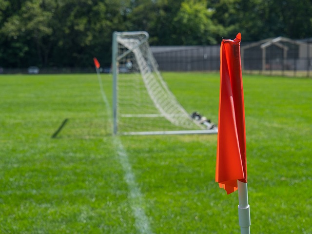 业复苏的引 业复苏的引