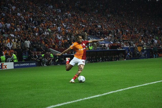 以来以其严 以来以其严