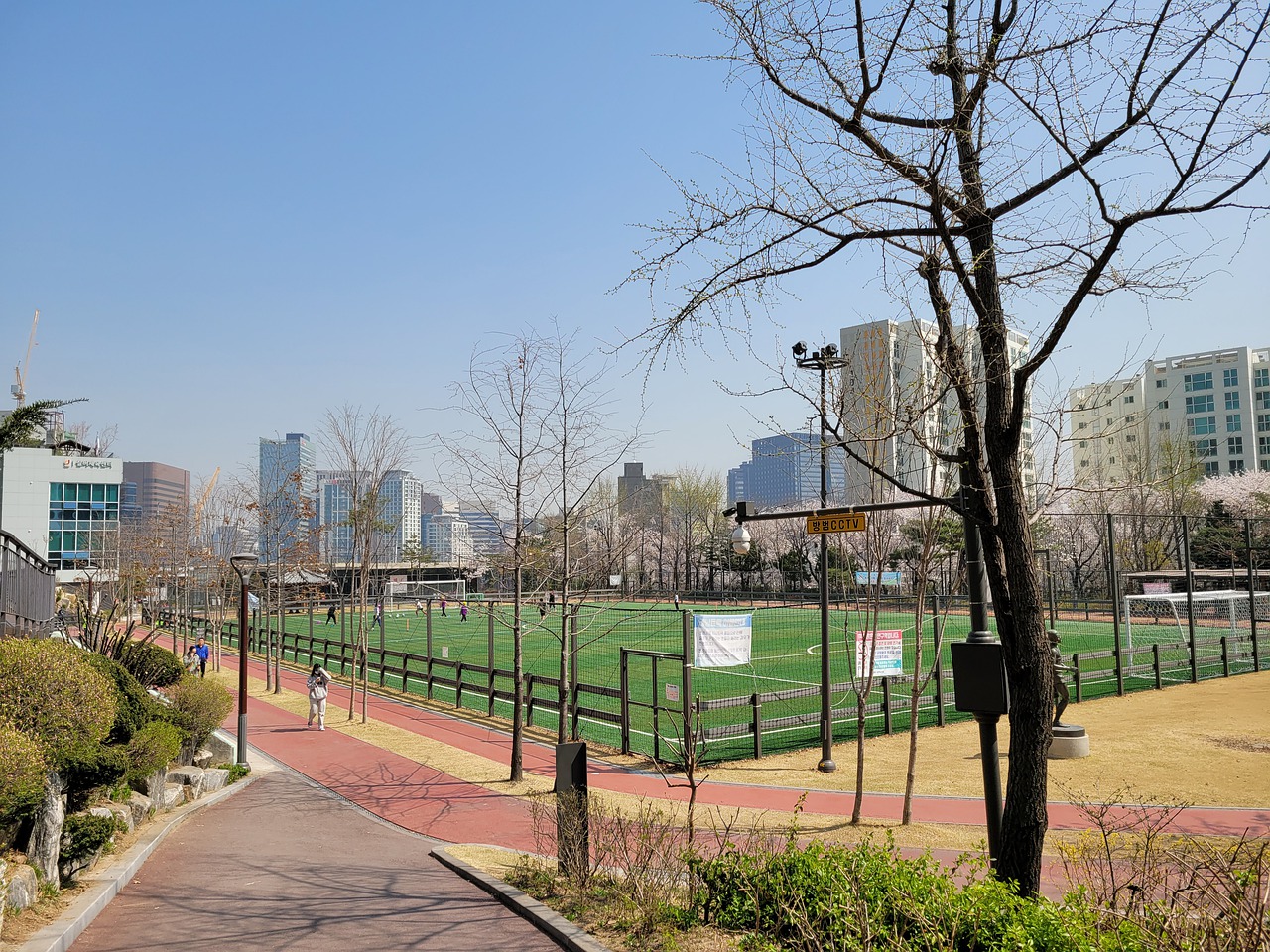 到篮球不仅 到篮球不仅