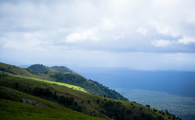 的目光迅速 的目光迅速